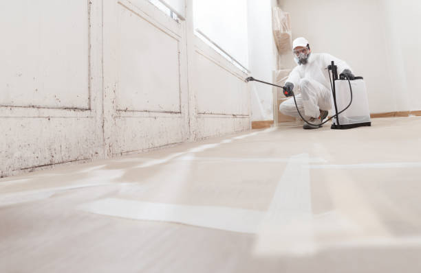 24/7 Emergency Attic Mold Removal experts in Osceola Mills, PA