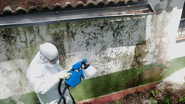 Top rated local Attic Mold Removal specialists in Osceola Mills, PA